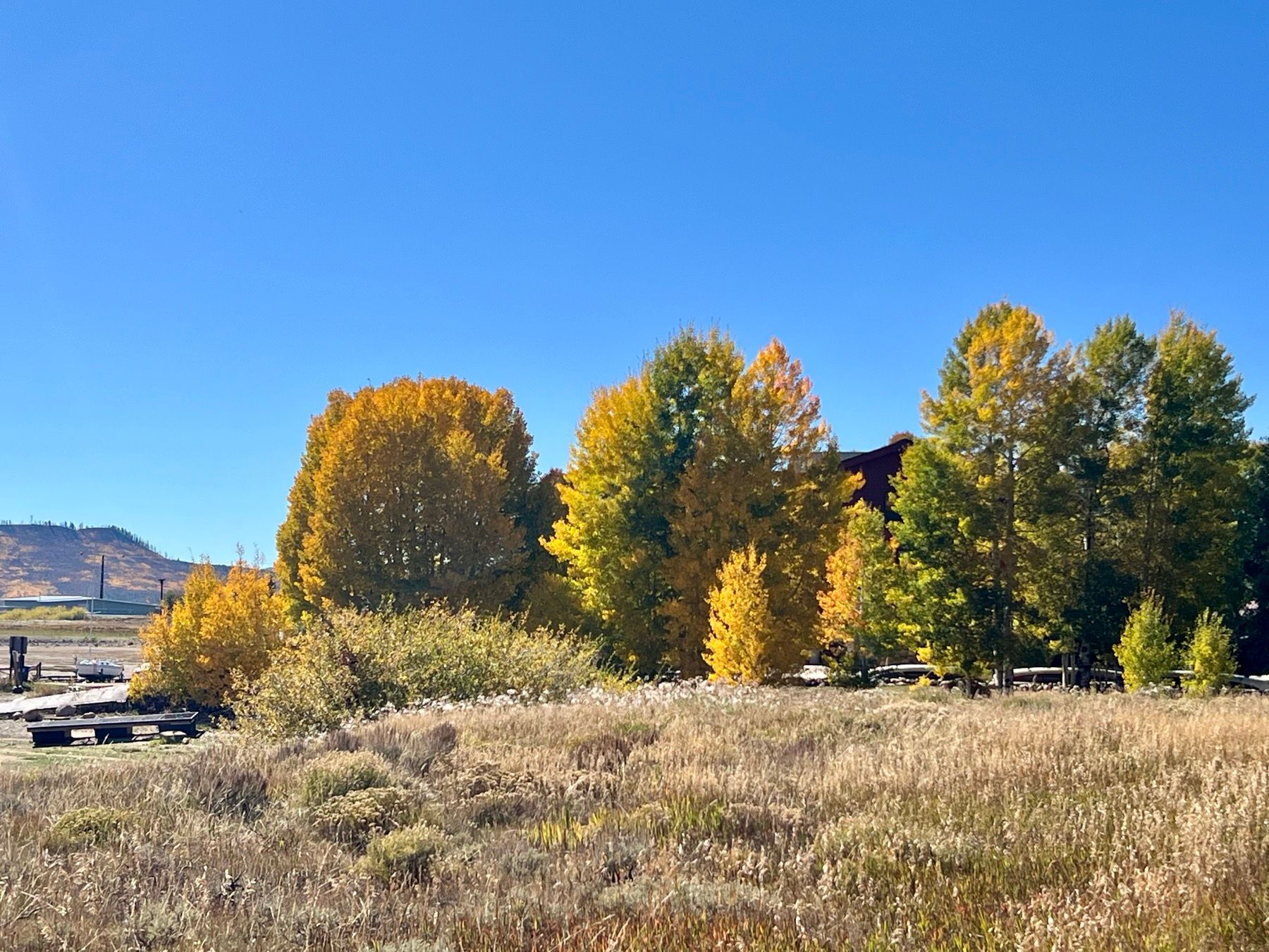 Fall colors